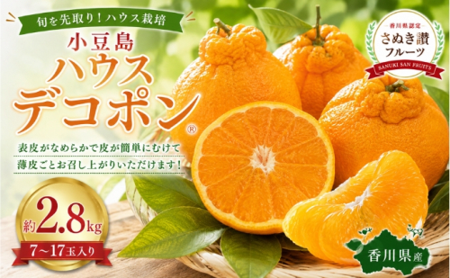 小豆島 ハウスデコポン 約2.8kg デコポン フルーツ 果物 香川県 土庄町 2781375 - 香川県土庄町