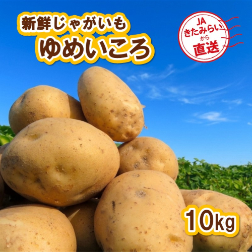 【予約：2026年10月上旬から順次発送】JAきたみらいから直送する新鮮じゃがいも「ゆめいころ」10kg (JAきたみらい JA 直送 じゃがいも いも 芋 ジャガイモ)【104-0019】 2781860 - 北海道北見市