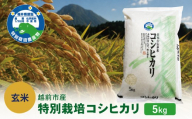 [令和8年度新米 玄米]特別栽培 越前市産コシヒカリ 5kg