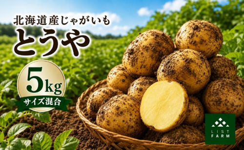 北海道 倶知安 じゃがいも とうや 5kg リストファーム サイズ 混合 馬鈴薯 芋 ポテト イモ 産地直送 野菜 2783102 - 北海道倶知安町