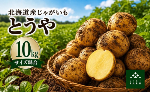 北海道 倶知安 じゃがいも とうや 10kg リストファーム サイズ 混合 馬鈴薯 芋 ポテト イモ 産地直送 野菜 2783103 - 北海道倶知安町