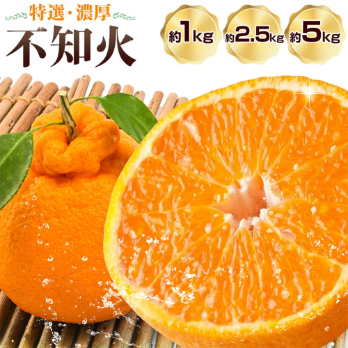 特選 濃厚 不知火 (通称デコポン) 選べる 約1kg 約2.5kg 約5kg 有田マルシェ《2027年1月末-2月下旬頃発送予定》和歌山県 日高町 国産 みかん でこぽん 柑橘 果物 2783277 - 和歌山県日高町
