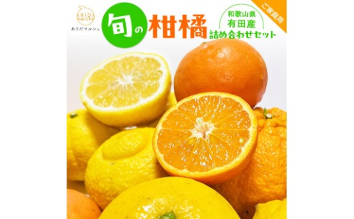 有田育ちの 旬の 柑橘 詰合せセット（ご家庭用）約7.5kg［先行予約］［MS163］ 2783673 - 和歌山県上富田町
