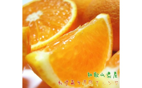 有田育ちの 完熟 清見 オレンジ（ご家庭用）約1.5kg［先行予約］［MS166］ 2783676 - 和歌山県上富田町