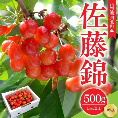 【令和9年産】さくらんぼ 佐藤錦 500g L玉以上 ギフト箱入 秀品 山形県産【山形eLab】ka074-051 フルーツ 人気 贈答 ふるさと納税 河北町 2027年産 2783694 - 山形県河北町