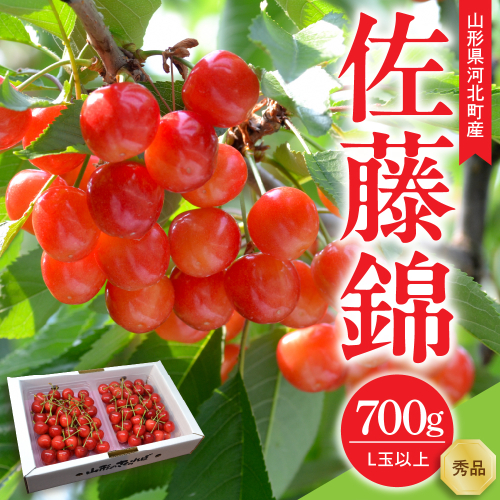 【令和9年産】さくらんぼ 佐藤錦 700g(350g×2パック) L玉以上 ギフト箱入 秀品 山形県産【山形eLab】 ka074-052 フルーツ 人気 贈答 ふるさと納税 河北町 2027年産 2783698 - 山形県河北町