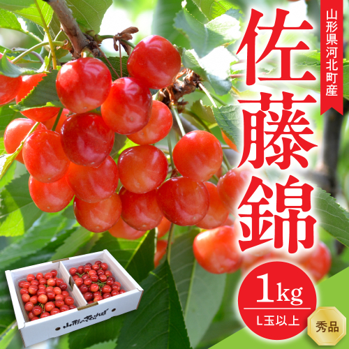 【令和9年産】さくらんぼ 佐藤錦 1kg(500g×2パック) L玉以上 ギフト箱入 秀品 山形県産【山形eLab】 ka074-053 フルーツ 人気 贈答 ふるさと納税 河北町 2027年産 2783699 - 山形県河北町
