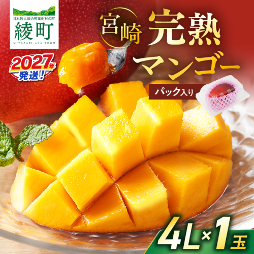 先行予約 数量限定 完熟マンゴー 4L×1玉（パック）マンゴー 宮崎 果物 フルーツ くだもの 2027年 国産 高級 マンゴージュース 南国フルーツ おすすめ デザート ギフト 贈り物 プレゼント 贈答 冷蔵 綾町 送料無料 【JA綾町】_A0114-265 2783705 - 宮崎県綾町