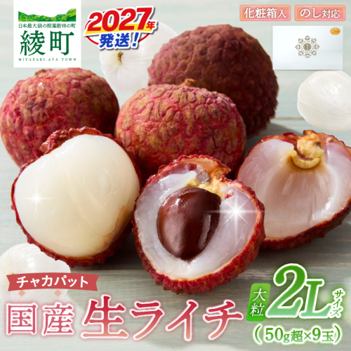 先行予約 数量限定 希少 国産 綾 生ライチ 大粒 2L サイズ（化粧箱入り）果物 フルーツ くだもの 国産ライチ 2027年 トロピカルフルーツ 南国フルーツ 冷蔵 ジューシー 高級 デザート ギフト 贈り物 プレゼント ご褒美 宮崎県 送料無料【JA綾町】_A0114-266 2783798 - 宮崎県綾町