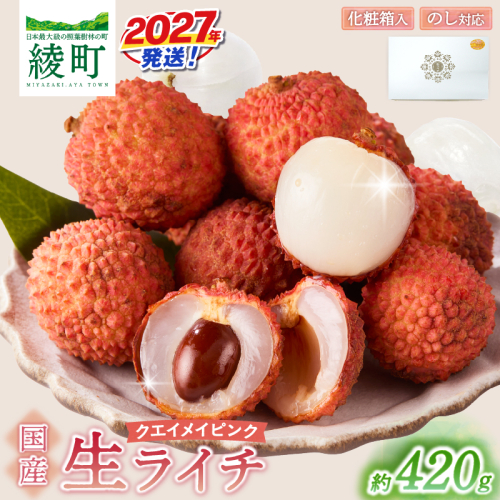 先行予約 数量限定 希少 国産 綾生ライチ「クエイメイピンク」化粧箱入り 果物 フルーツ くだもの 国産ライチ 2027年 トロピカル 南国フルーツ 冷蔵 高級 デザート ギフト 贈り物 プレゼント ご褒美 おすすめ 宮崎県 送料無料 【JA綾町】_A0114-268 2783800 - 宮崎県綾町