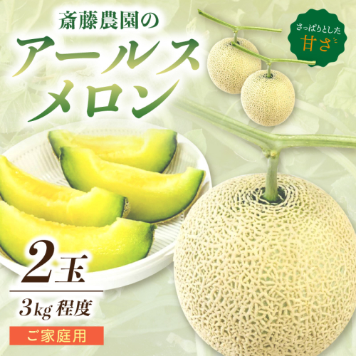 ≪家庭用≫アールスメロン(マスクメロン) 2玉 3kg程度 糖度13度程度【配送不可地域：北海道・青森・秋田・岩手・沖縄・離島】 2784053 - 和歌山県御坊市