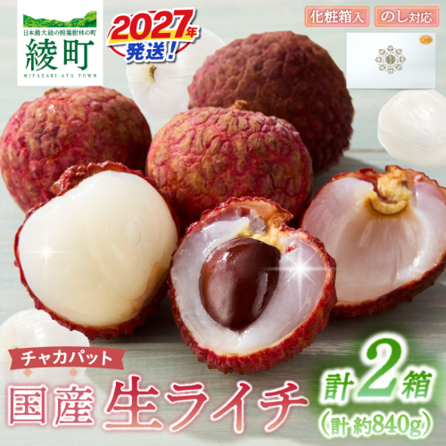 先行予約 数量限定 希少 国産 綾 生ライチ 2箱セット 1種類（化粧箱入り）果物 フルーツ くだもの 国産ライチ 2027年 トロピカルフルーツ 南国フルーツ 冷蔵 ジューシー 高級 デザート ギフト 贈り物 プレゼント ご褒美 宮崎県 送料無料【JA綾町】_A0114-269 2784442 - 宮崎県綾町