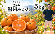 訳あり 温州みかん箱込み5キロ 杉山農園 | フルーツ 果物 くだもの 柑橘 ミカン みかん 熊本県 玉名市