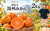 訳あり 温州みかん箱込み2キロ 杉山農園 | フルーツ 果物 くだもの 柑橘 ミカン みかん 熊本県 玉名市