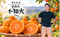 訳あり 不知火 箱込み5キロ 杉山農園 | フルーツ 果物 くだもの 柑橘 ミカン みかん 熊本県 玉名市
