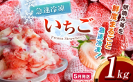 【先行予約】【5月発送】冷凍 いちご とちあいか 1kg カット済み 訳あり 不揃い | 2027年発送 いちご 冷凍 ヘタ取り 苺 冷凍いちご 冷凍イチゴ 冷凍苺 果物 デザート フルーツ スイーツ アイス ジャム シャーベット ストロベリー 氷菓 冷凍 甘い オススメ 人気 真岡市 ウッドベルファーム 栃木 苺 栃木いちご イチゴ 真岡いちご 産地直送 新鮮 農家直送 送料無料