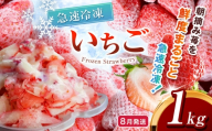【先行予約】【8月発送】冷凍 いちご とちあいか 1kg カット済み 訳あり 不揃い | 2027年発送 いちご 冷凍 ヘタ取り 苺 冷凍いちご 冷凍イチゴ 冷凍苺 果物 デザート フルーツ スイーツ アイス ジャム シャーベット ストロベリー 氷菓 冷凍 甘い オススメ 人気 真岡市 ウッドベルファーム 栃木 苺 栃木いちご イチゴ 真岡いちご 産地直送 新鮮 農家直送 送料無料