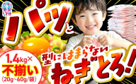 [2026年10月発送]ネギトロ 不揃い 使い切り パック詰め合わせ 1.4kg まぐろ 鮪 ネギトロ ねぎとろ まぐろたたき まぐろのたたき マグロたたき ふるさと納税ネギトロ 訳あり ネギとろ ねぎトロ maguro ネギトロ本物 ネギトロあっさり ネギトロ小分け 人気ネギトロ ネギトロランキング 山菱水産 福島県 いわき市 まぐろたたき