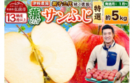 【27年1月～発送】りんご 葉とらずサンふじ【特選】約5kg 13～20玉程度【糖度13度以上】津軽農園 先行受付 青森県 弘前市 果物 フルーツ 林檎 リンゴ くだもの ギフト 贈り物 [先行予約 産地直送 アップル おいしい 果実 美味 甘い 赤色]
