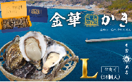 金華かき 女川オイスターファーム ラージサイズ 生食可 宮城産牡蠣 女川産牡蠣 金華牡蠣 岩沼市