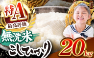 【2026年産】栃木県産コシヒカリ 無洗米 20kg 【栃木県共通返礼品 栃木県産】