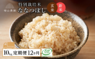 【新米予約】玄米【12カ月定期便】特別栽培米産地直送玄米ななつぼし10kg　箱入《帰山農園》
