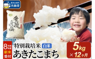 ＜令和8年産 新米受付＞《定期便12ヶ月》米 特別栽培米 あきたこまち【白米】5kg×1袋 [先行予約 新米 米 お米 こめ 白米 精米 特別栽培米 あきたこまち ブランド米 秋田県産]
