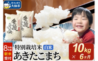 ＜令和8年産 新米受付＞《定期便6ヶ月》米 特別栽培米 あきたこまち【白米】10kg（5kg×2袋） [先行予約 新米 米 お米 こめ 白米 精米 特別栽培米 あきたこまち ブランド米 秋田県産]