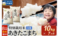 ＜令和8年産 新米受付＞《定期便7ヶ月》米 特別栽培米 あきたこまち【白米】10kg（5kg×2袋） [先行予約 新米 米 お米 こめ 白米 精米 特別栽培米 あきたこまち ブランド米 秋田県産]