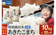 ＜令和8年産 新米受付＞《定期便10ヶ月》米 特別栽培米 あきたこまち【白米】10kg（5kg×2袋） [先行予約 新米 米 お米 こめ 白米 精米 特別栽培米 あきたこまち ブランド米 秋田県産]