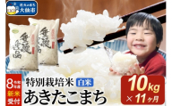 ＜令和8年産 新米受付＞《定期便11ヶ月》米 特別栽培米 あきたこまち【白米】10kg（5kg×2袋） [先行予約 新米 米 お米 こめ 白米 精米 特別栽培米 あきたこまち ブランド米 秋田県産]