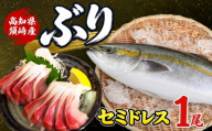 ブリ  丸ごと1尾  セミドレス フィーレ ロイン  高知県 須崎市 下処理済み 鰤 養殖ブリ 寒ブリ ブリしゃぶ 刺身 お刺身用 柵 半身 皮なし スキンレス 神経締め ぶりしゃぶ 漬け丼 海鮮丼 カルパッチョ 魚介 煮物 煮つけ ぶりかま 冷蔵 産地直送