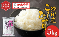 《令和8年産　新米予約》米 5kg 新潟県阿賀町 津川産 コシヒカリ 令和8年産 精米 白米 5キロ 新潟県産コシヒカリ 新潟県産こしひかり 新潟県産 コシヒカリ こしひかり ごはん ご飯 新潟県 阿賀町