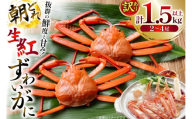 カニ 訳あり 朝どれ生紅ズワイガニ 2〜4尾 計1.5kg以上 【12月発送】(1尾サイズ：500g〜1kg以上) [JF西海 石川県 志賀町 sk17jkf30064-12gatsu] かに 蟹 紅ズワイ 紅ズワイガニ 生 ズワイ ずわい ずわい蟹 ズワイガニ 姿 カニ鍋 カニしゃぶ カニ爪 規格外 足折れ 魚介 海産物 能登
