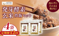 【 定期便12回 】 発芽酵素玄米炊飯セット 3合  (450g)  洗わずそのまま炊ける 無洗米 4袋 米 玄米 発芽玄米 酵素 お米 食物繊維 モチモチ お手軽 簡単 大分県 大分 玖珠町 玖珠