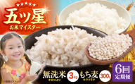【全6回定期便】無洗米・もち麦セット（ さがびより3kg ・ キラリモチ 300g ）【大塚米穀店】 麦 もち麦 米 精米 [HBL174]