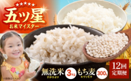 【全12回定期便】無洗米・もち麦セット（ さがびより3kg ・ キラリモチ 300g ）【大塚米穀店】 麦 もち麦 米 精米 [HBL175]
