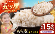 【全6回定期便】 キラリモチ 1.5kg （300g×5袋）【大塚米穀店】 雑穀 雑穀米 佐賀 [HBL183]
