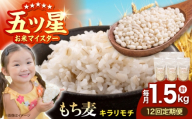 【全12回定期便】 キラリモチ 1.5kg （300g×5袋）【大塚米穀店】 雑穀 雑穀米 佐賀 [HBL184]