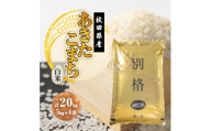 【毎月定期便】あきたこまち 白米 20kg(5kg×4袋)全12回【4090571】