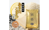 【毎月定期便】あきたこまち 白米 30kg(5kg×6袋)全12回【4090575】