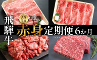 飛騨牛 A5 牝牛 赤身 6か月定期便 すき焼き しゃぶしゃぶ 黒毛和牛 希少部位 極上 赤身 冷凍 精肉店ふじた 岐阜県 大垣市