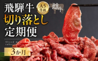 飛騨牛 A5 牝牛 切り落とし 500g 3か月定期便 ステーキ 牛肉 焼肉 高級 黒毛和牛 和牛 切り落とし 訳あり