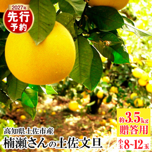 【先行予約】楠瀬さんの土佐文旦 贈答用小玉 約3.5kg 期間限定 高知 土佐 文旦 ぶんたん ブンタン 柑橘 みかん 果物 3.5キロ Lサイズ 8～12玉 フルーツ 旬【まる庄果樹園】〈2027年2月15日～2027年4月5日発送〉 [BQAF023] 2786788 - 高知県土佐市