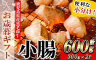 [お歳暮]黒毛和牛 ホルモン 600g(300g×2P) 冷凍 小分け 国産 鹿児島県産 黒毛和牛 モツ 小腸 生ホルモン 生冷凍ホルモン お取り寄せ[00-030-27-R8OS]