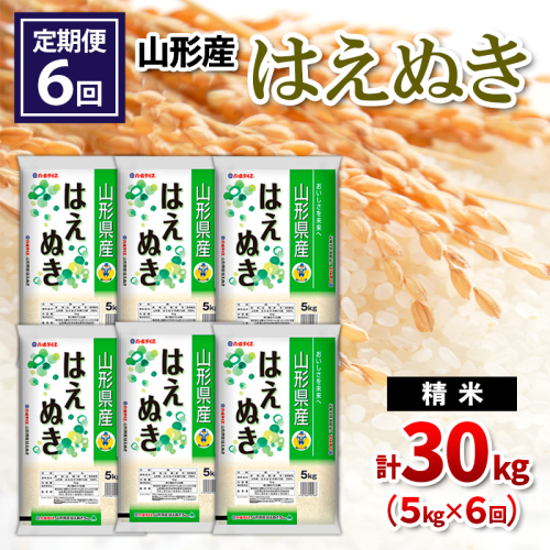 【令和8年産】 【定期便6回】山形産 はえぬき 精米 5kg×6回 FY26-265 2787055 - 山形県山形市