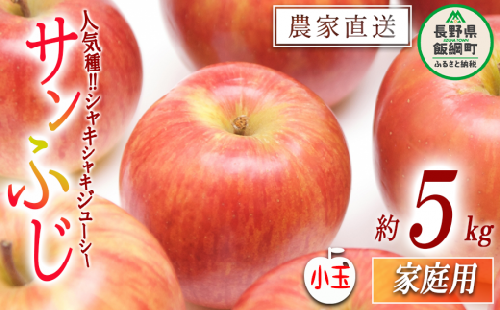 りんご サンふじ 家庭用 ( 小玉 ) 5kg 丸山功農園 沖縄県への配送不可 2025年11月中旬頃から2025年12月中旬頃まで順次発送予定 令和7年度収穫分 信州 果物 フルーツ リンゴ 林檎 長野 11000円 予約 農家直送 長野県 飯綱町 [1179]