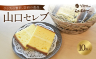 山口セレブ(10個入) 有限会社レ・ガトー 山口県 防府市 A-C30 洋菓子 スイーツ 焼菓子 ケーキ ギフト プレゼント ティータイム 個包装 おやつ 高級