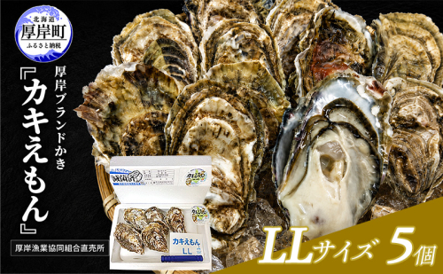 カキ 生食用 北海道 厚岸産 殻かき カキエモン LLサイズ  5個 牡蠣 魚貝類 生牡蠣 殻付き牡蠣 カキ ブランド 2788144 - 北海道厚岸町
