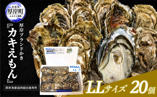 カキ 生食用 北海道 厚岸産 殻かき カキエモン LLサイズ  20個 牡蠣 魚貝類 生牡蠣 殻付き牡蠣 カキ ブランド 2788151 - 北海道厚岸町